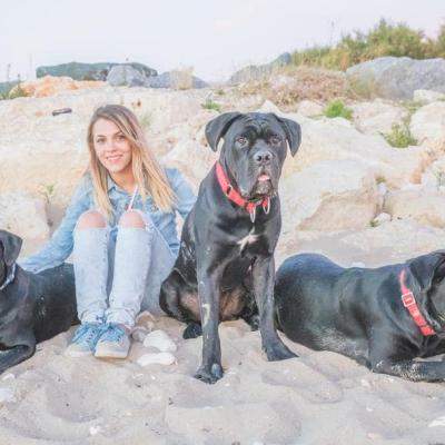 Andreea Ibacka și-a găsit câinii! Anunțul său a fost distribuit în număr mare: Din toată inima noastră vă rugăm să ne ajutați...