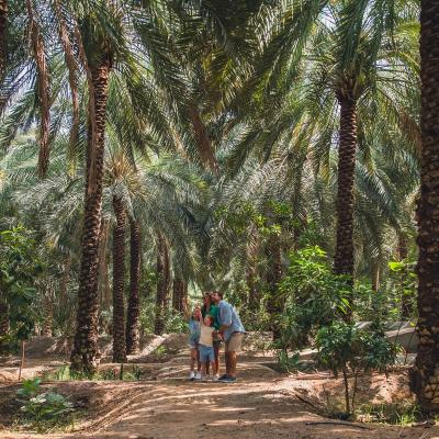 Cum să călătorești sustenabil în Ras Al Khaimah, emiratul naturii